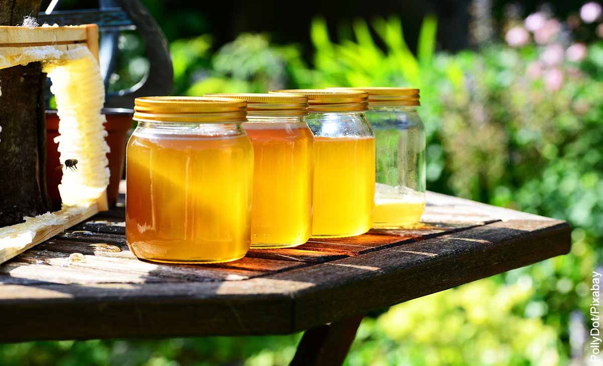 Foto de 4 tarros de miel que muestran para qué sirve la jalea