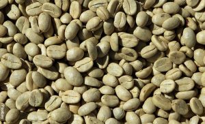 Foto de granos que indican el café verde para qué sirve