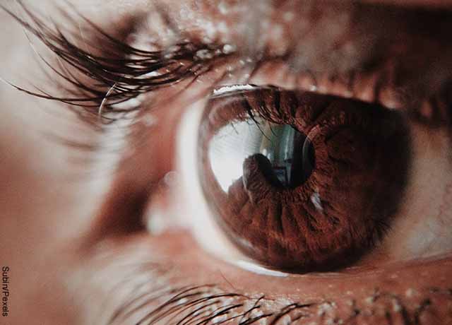 Foto de las pupilas del ojo de una mujer