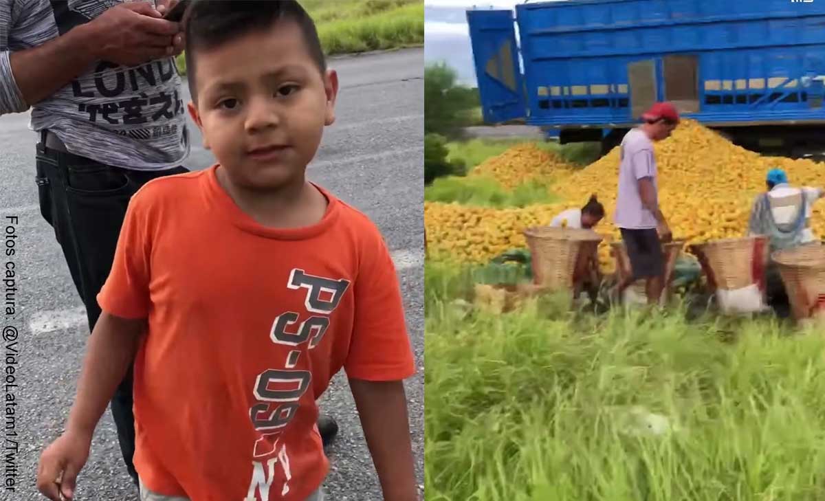 Ejemplo de honestidad: niño decidió no robar naranjas de un camión accidentado