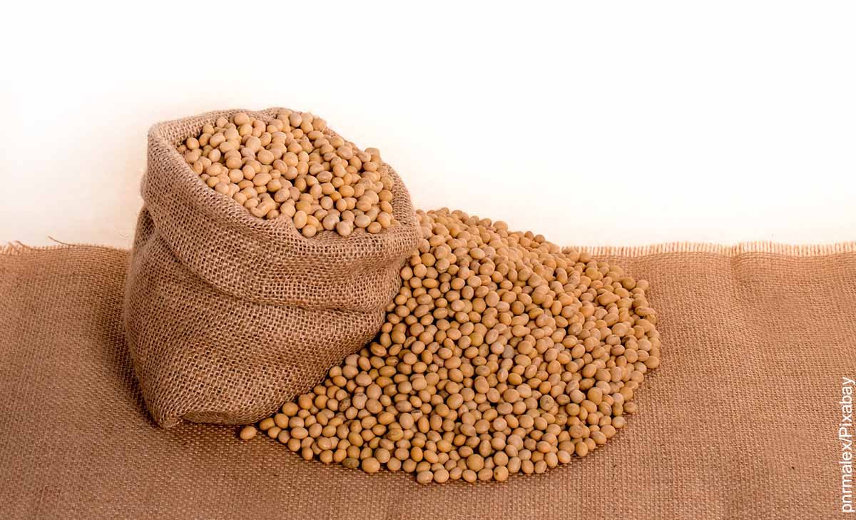Foto de un bulto con granos de soya que muestra la lecitina de soya para qué sirve