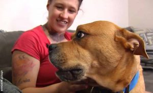 Mujer quería adoptar mascota pero encontró a su perro perdido