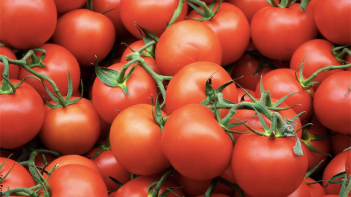 Foto de muchos tomates