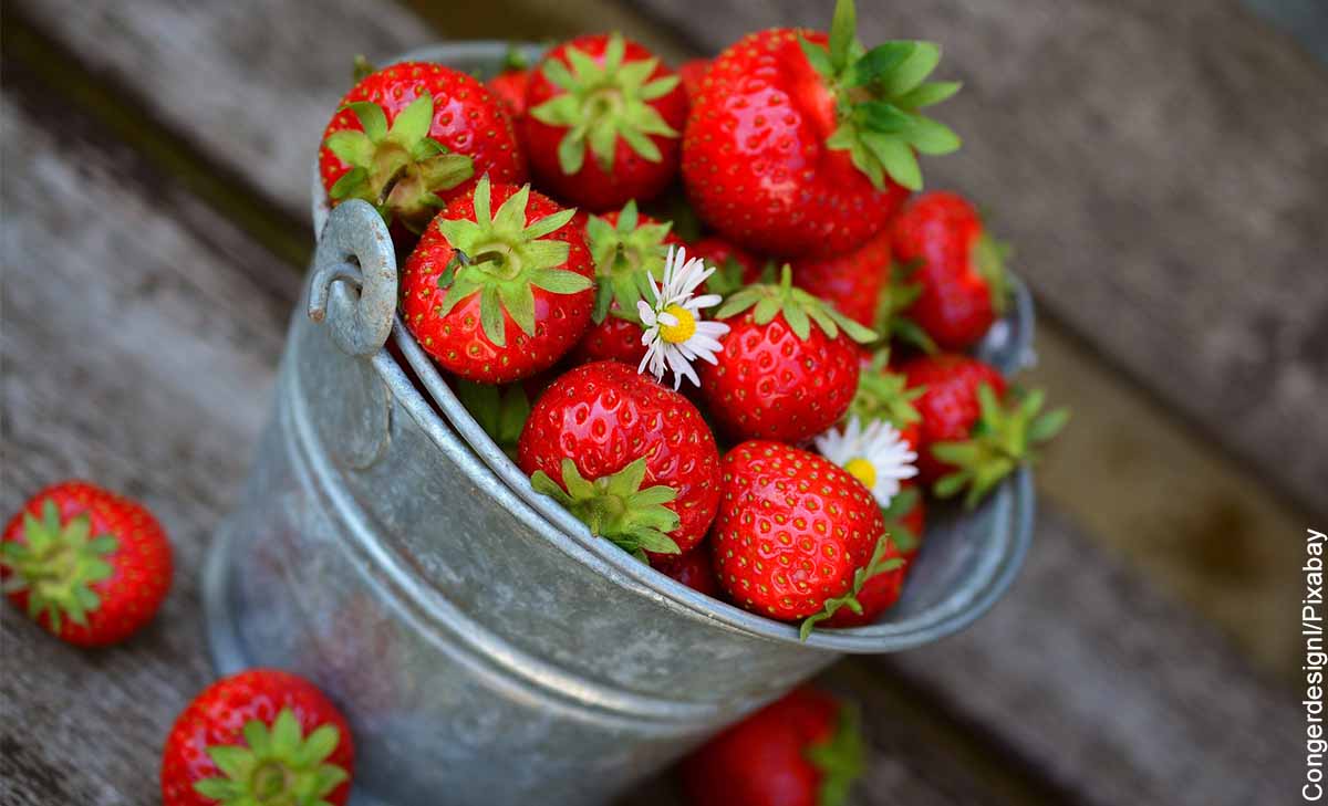 Foto de un balde con fresas que muestra para qué sirve la fresa