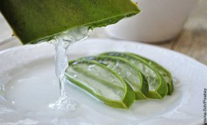 Foto de gel cayendo sobre un plato que revela para qué sirve la sábila tomada