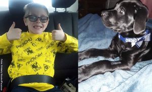 Pokemón sorprende a niño que vendió cartas para poder operar a su perro