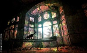 Foto de una casa abandonada con un gato negro que reveña que es soñar con brujería