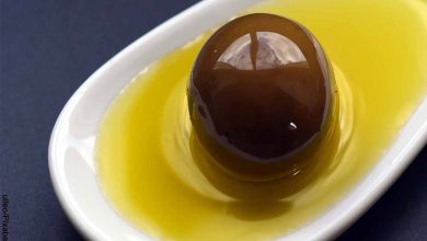 Foto de un olivo y aceite en una cuchara que muestra para qué sirve el aceite de oliva con limón