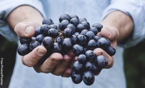 Foto de una persona sosteniendo un racimo que muestra lo que es soñar con uvas