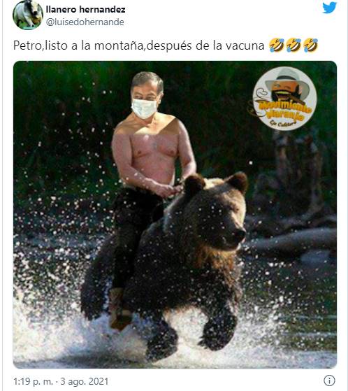 Mem de Petro sobre un oso para ilustrar los mejores memes de Petro vacunándose