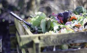 Foto de residuos orgánicos en una caja