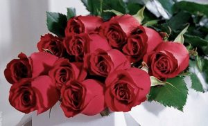 Significado de las rosas rojas, ¡descúbrelo!