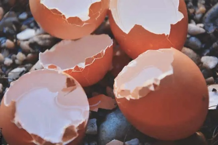 Foto de huevos rotos