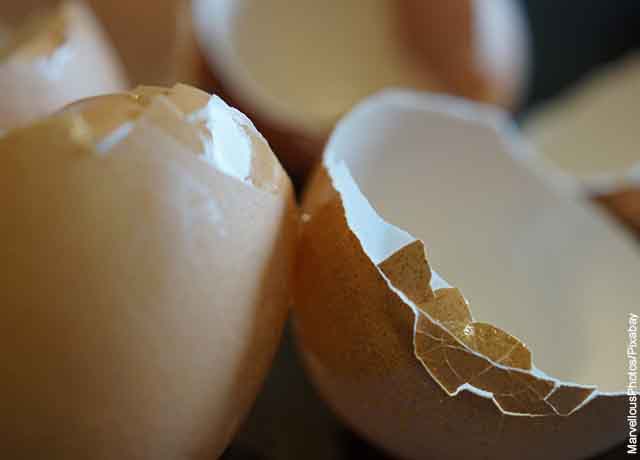 Foto de la cáscara de dos huevos