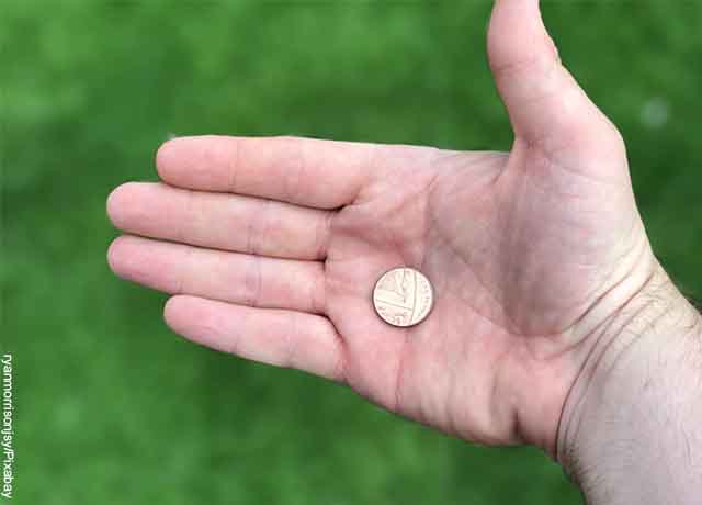 Foto de una mano con una moneda