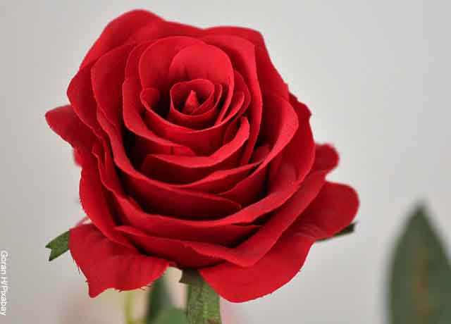 Foto de una flor artificial que revela lo que significa soñar con rosas rojas