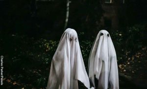 ¿Te gusta el cine de terror? Empresa pagará por ver sus películas