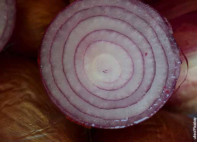 Foto de un trozo de cebolla morada