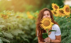 Cuidados de un girasol, ¡todo lo que debes tener en cuenta!