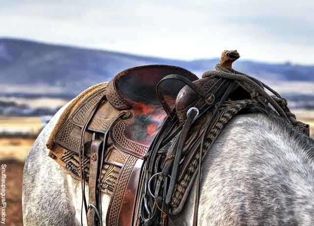 Foto de la silla de un caballo que revela qué significa soñar con un caballo