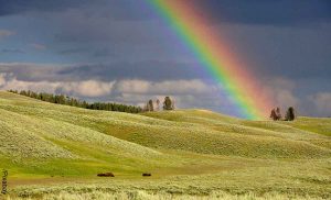 Foto de un arcoíris en el campo que revela lo que es soñar con arcoíris