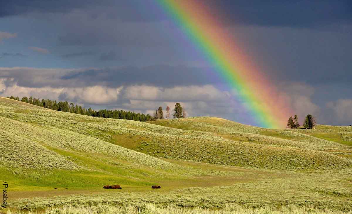 Foto de un arcoíris en el campo que revela lo que es soñar con arcoíris