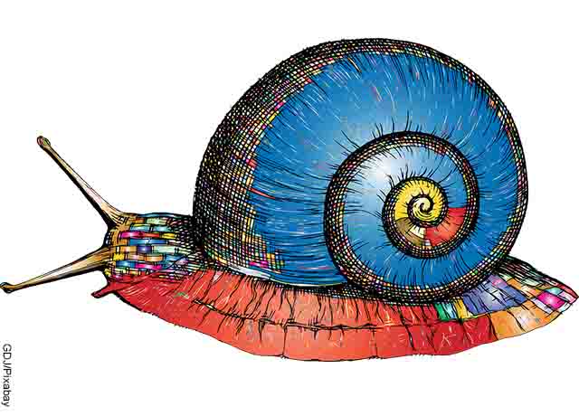 Foto de una ilustración de caracol de color