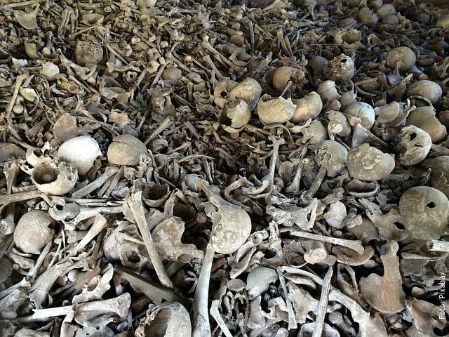 foto de muchos huesos