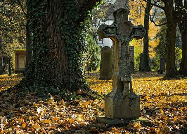 Foto de un cementerio y un árbol
