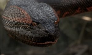 Qué significa soñar con anacondas, ¿fuerzas negativas?