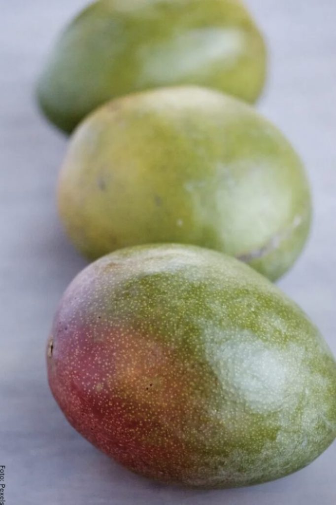 Foto de mangos verdes