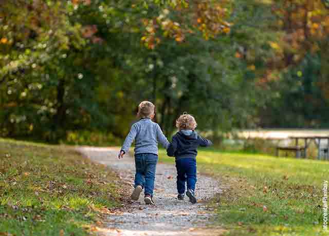 Foto de dos niños caminando tomados de la mano que revela el paico para qué sirve