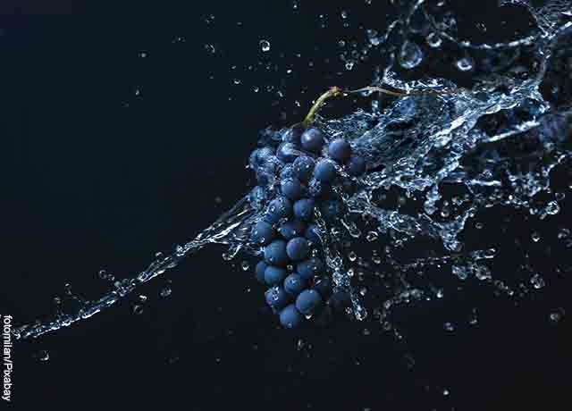 Foto de uvas en agua que revela lo que es soñar con uvas