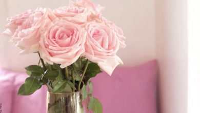 Flores para decoración, ¡van bien en cualquier espacio de tu hogar!