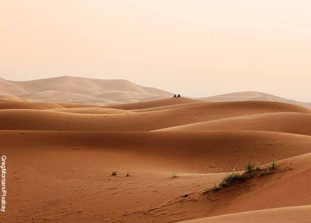Foto de las dunas en un desierto