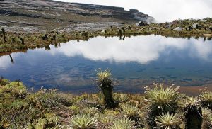 Caminatas ecológicas alrededor de Bogotá, ¡un plan que no te puedes perder!