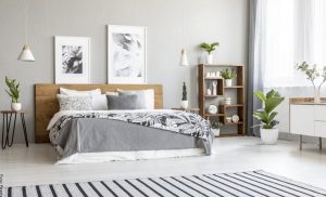 Feng Shui para la casa, ¡lo que necesitas saber!