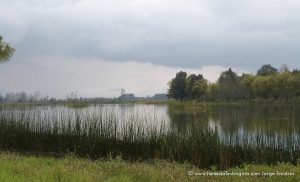 Recorridos en humedales de Bogotá, ¡para hacer caminatas ecológicas!