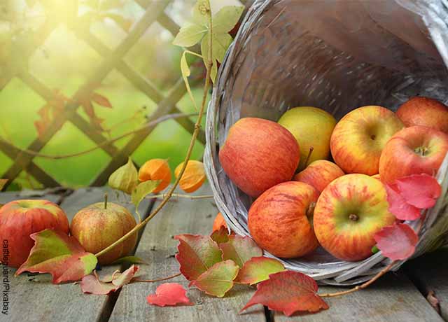 Foto de una canasta de manzanas sobre una mesa