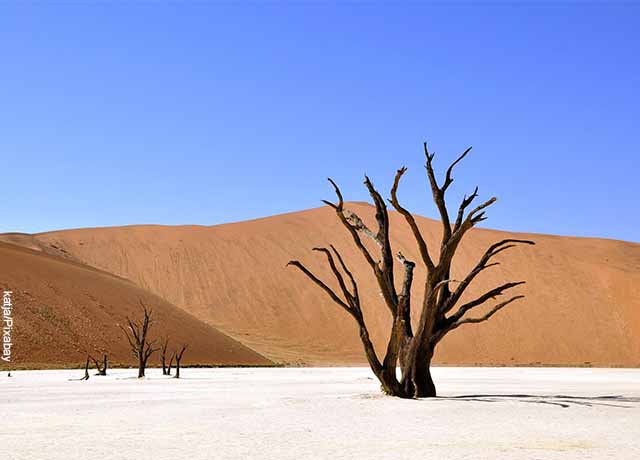 Foto de desierto africano