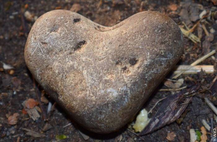 Foto de una piedra en forma de corazón