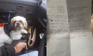 Abandonaron a un perro en un taxi y dejaron carta de instrucciones