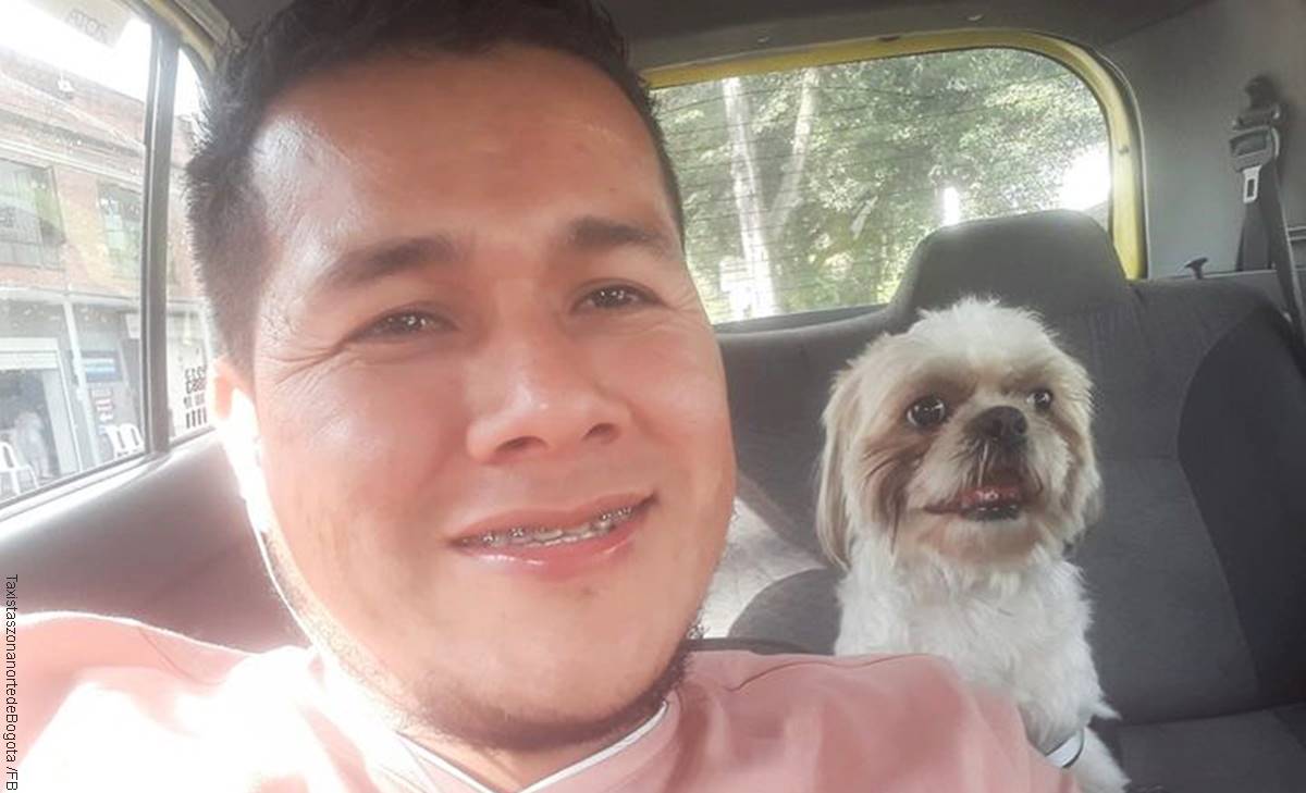 Perrito abandonado en taxi de Bogotá encontró hogar, ¡final feliz!