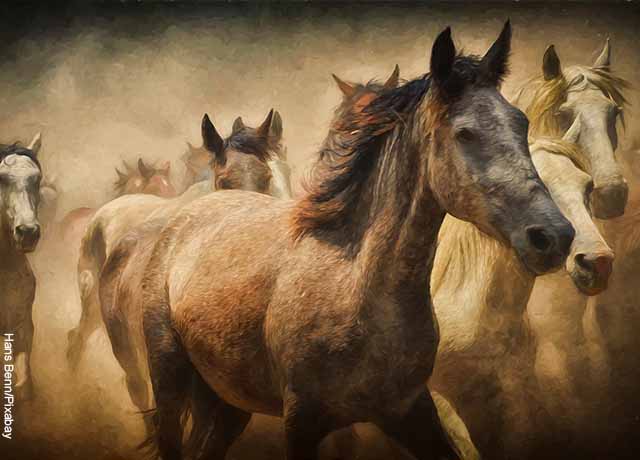 Foto de una pintura de equinos corriendo
