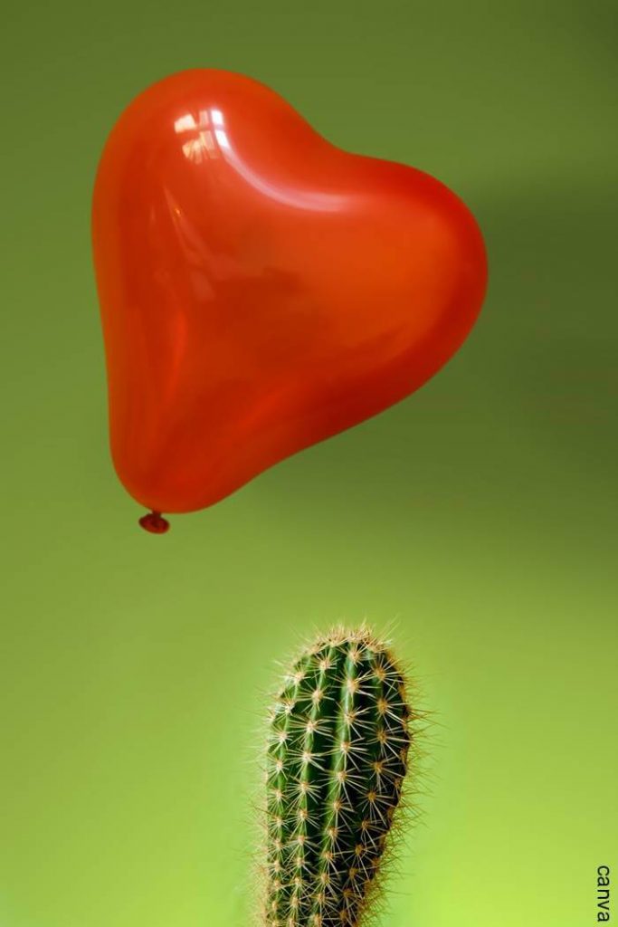 Foto de un glovo volanfdo junto a un cactus