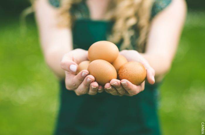Foto de huevos en las manos de una mujer