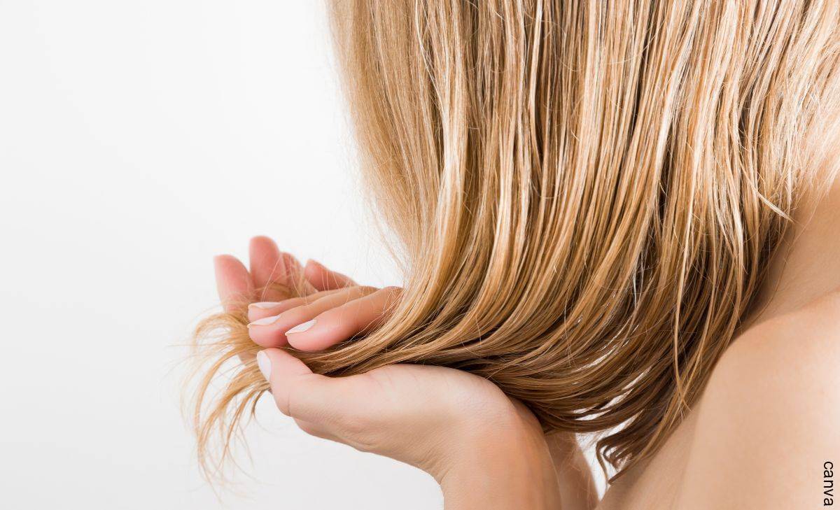 Mascarilla de huevo para el cabello: combate el frizz