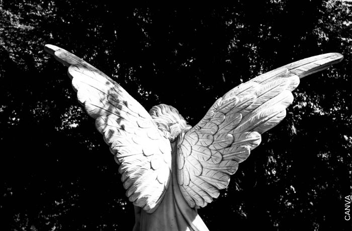Foto de la estatua de un ángel de espalda