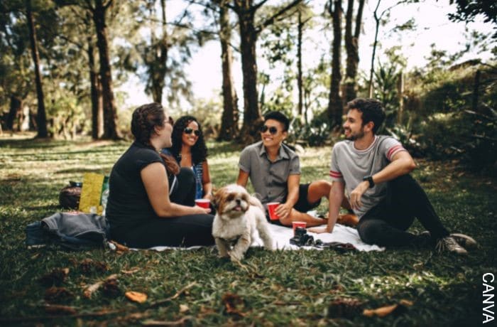 Foto de amigos en un picnic con un perro