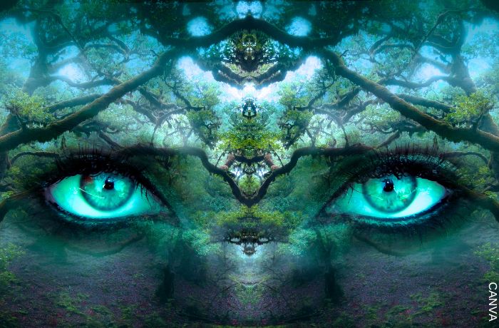 Ilustración de unos ojos en medio del bosque